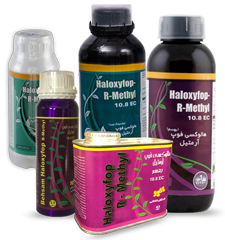 Haloxyfop – R  Methyl 